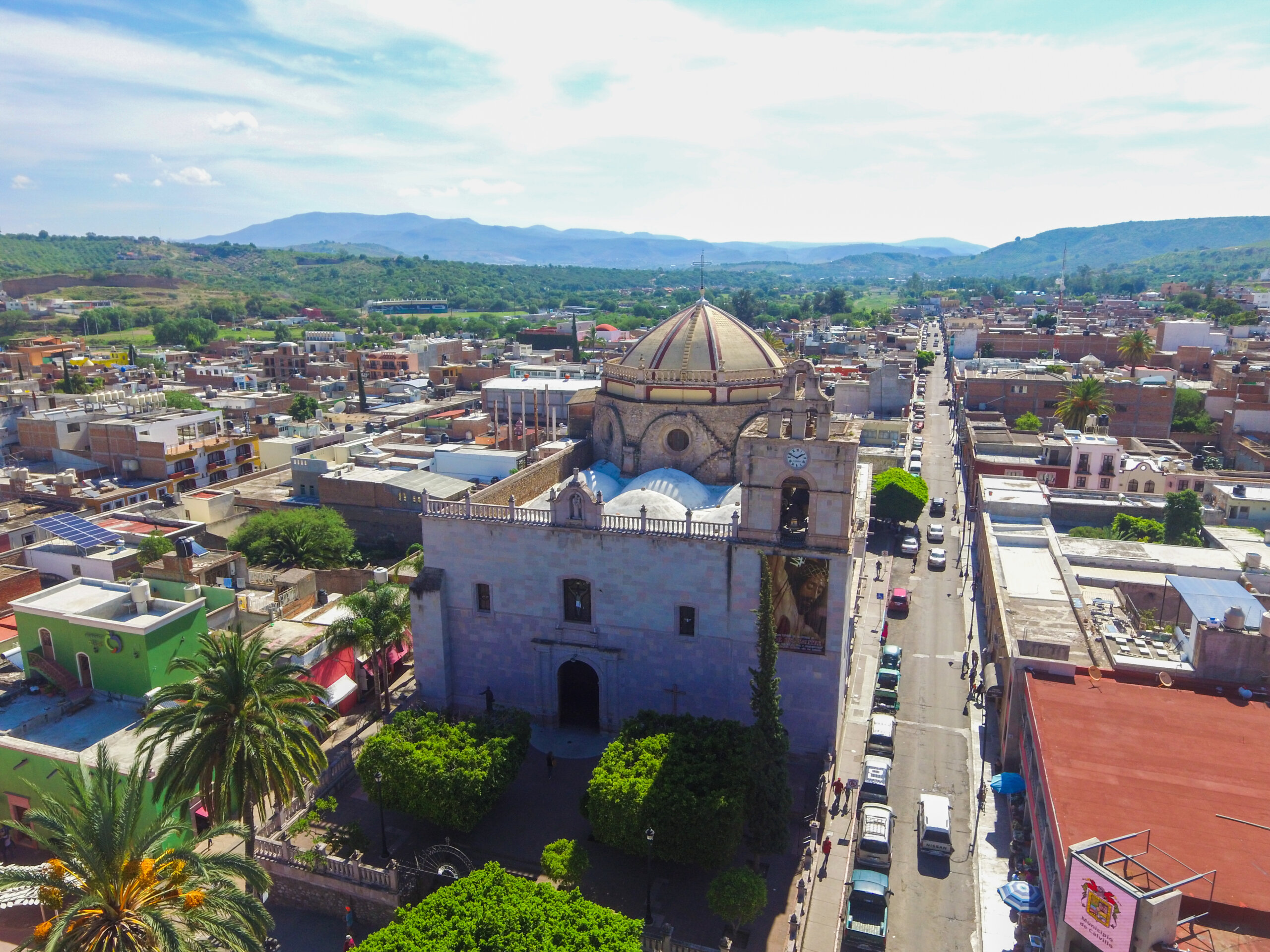 Calvillo