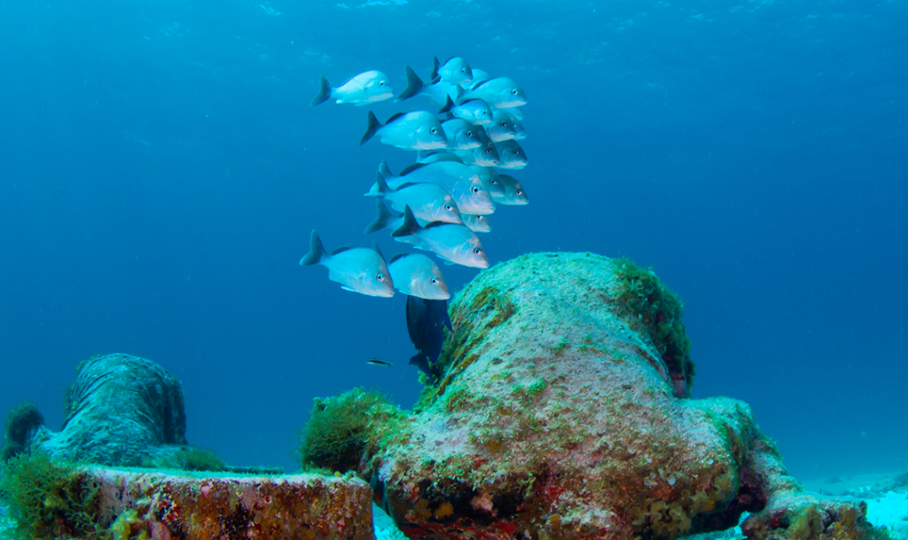 Isla Muejres