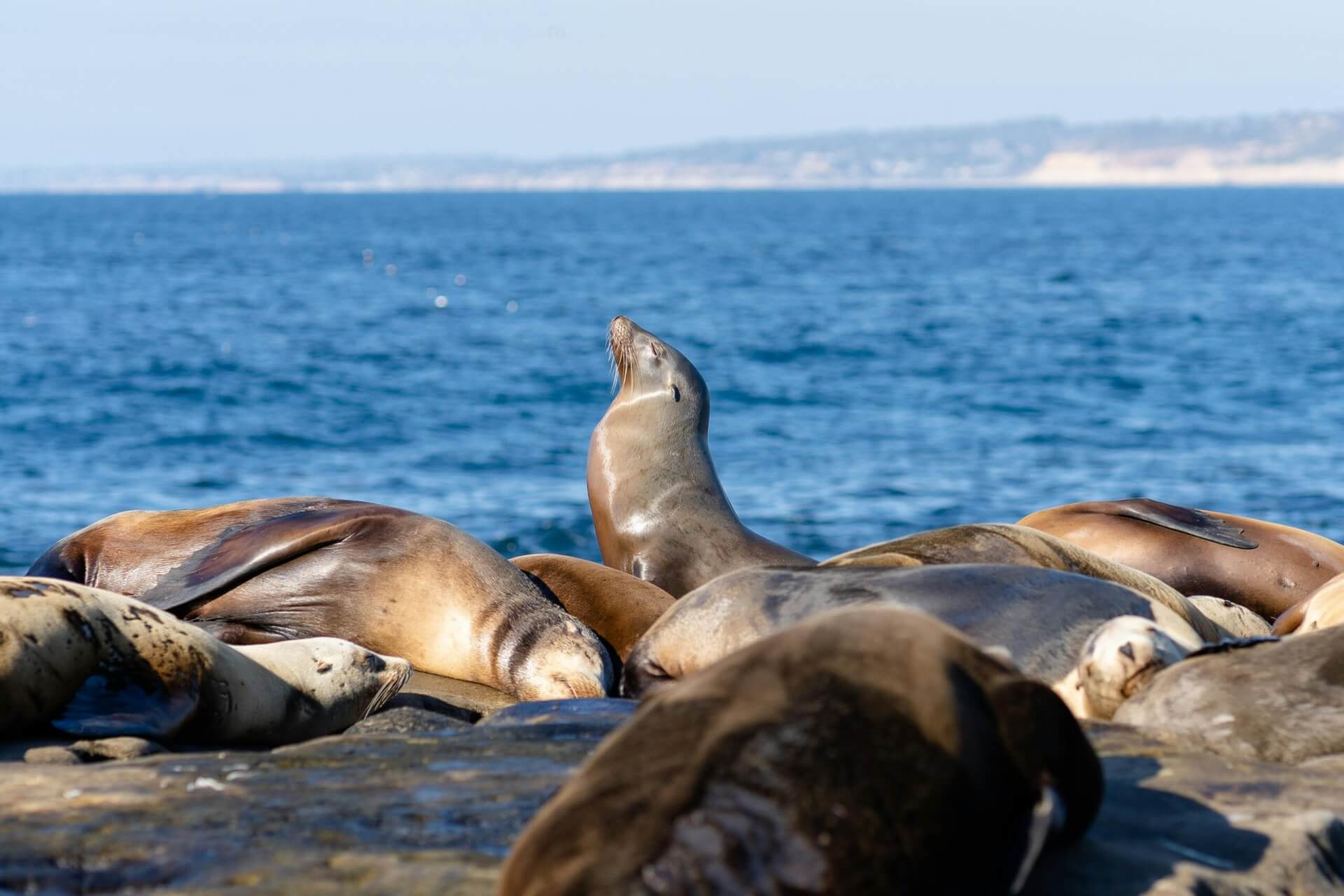 Baja California Sur