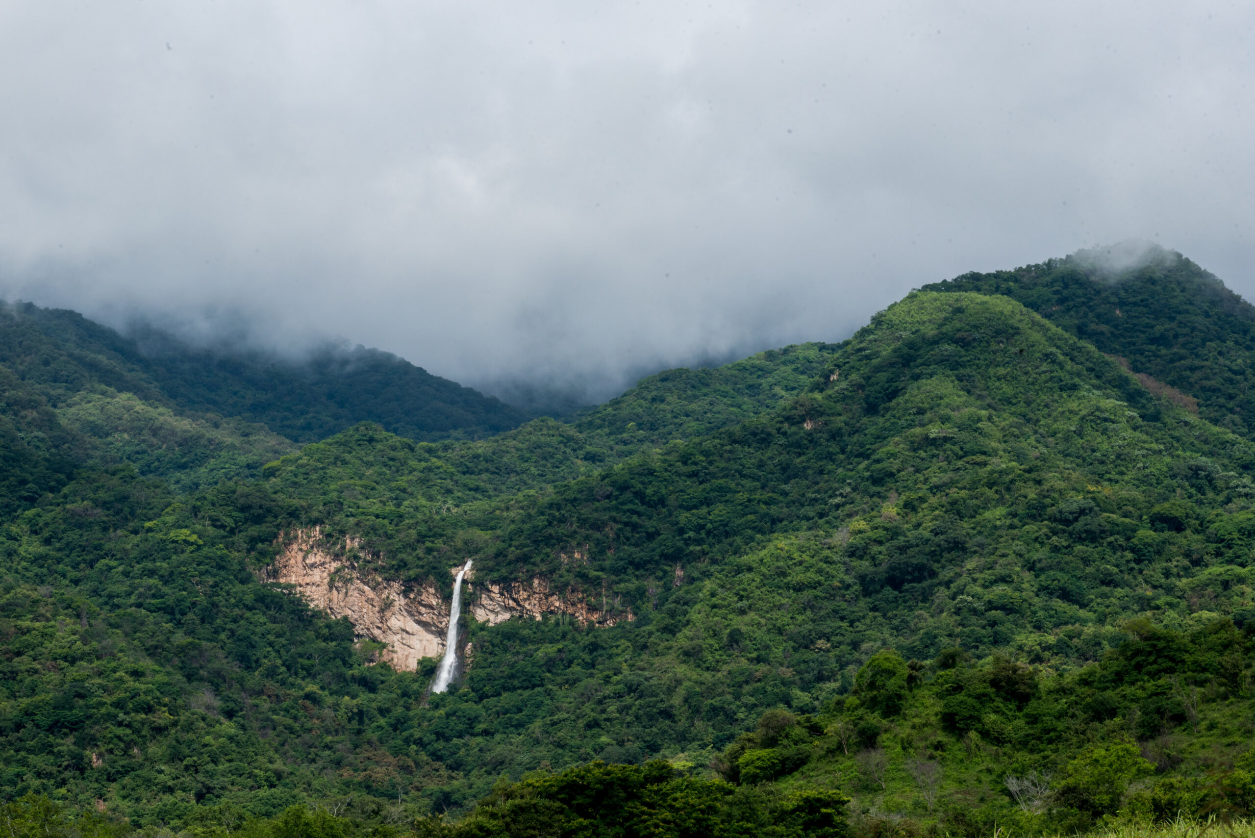 Colima