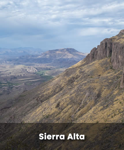 Sonora