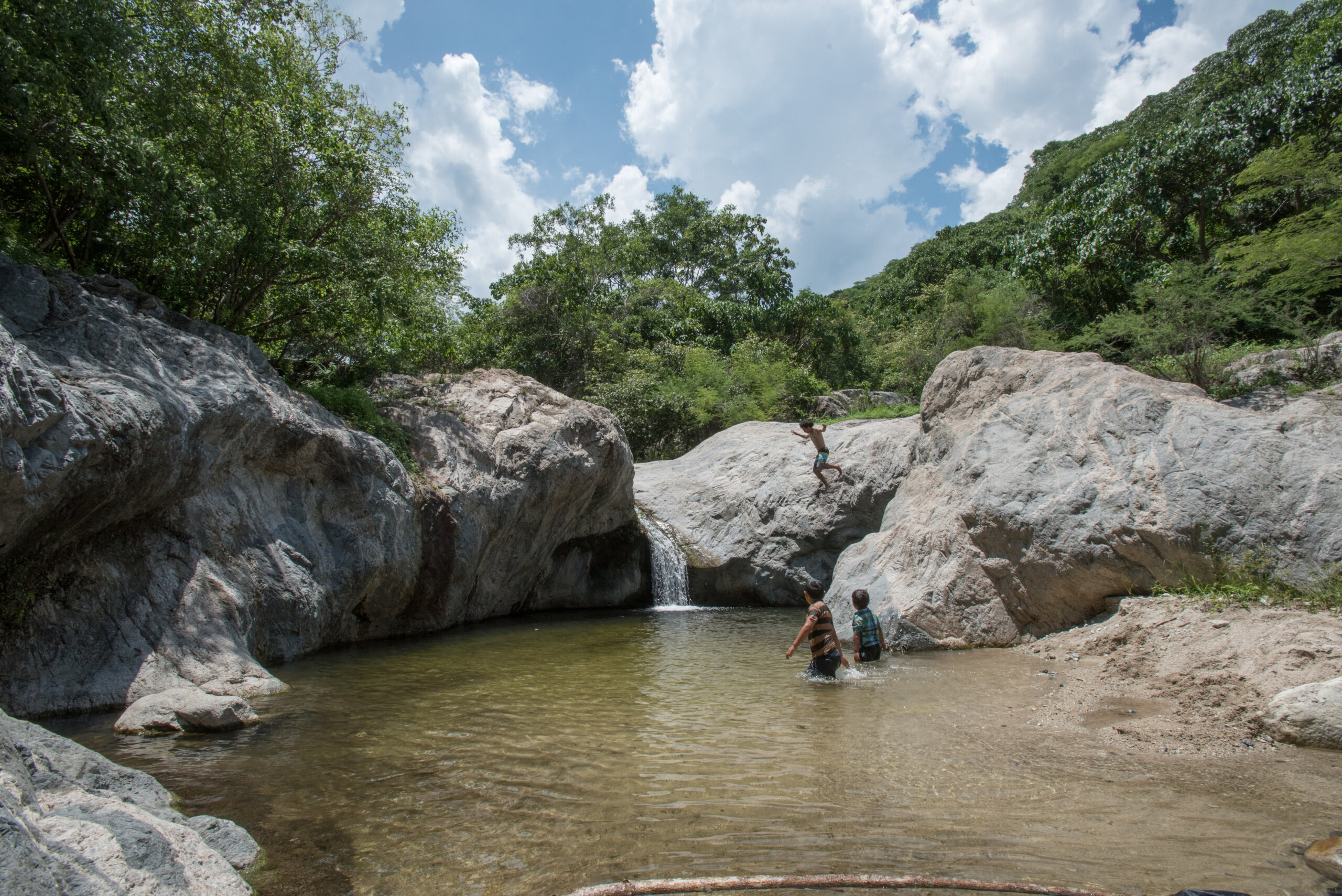 Colima