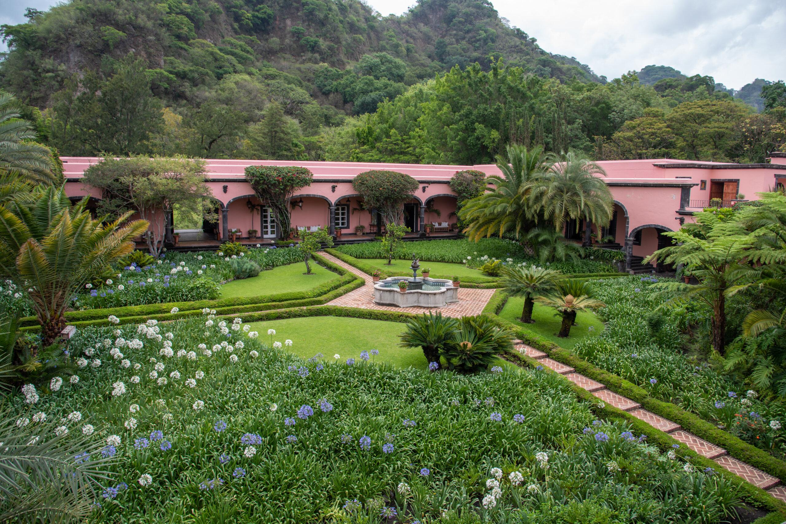 Colima