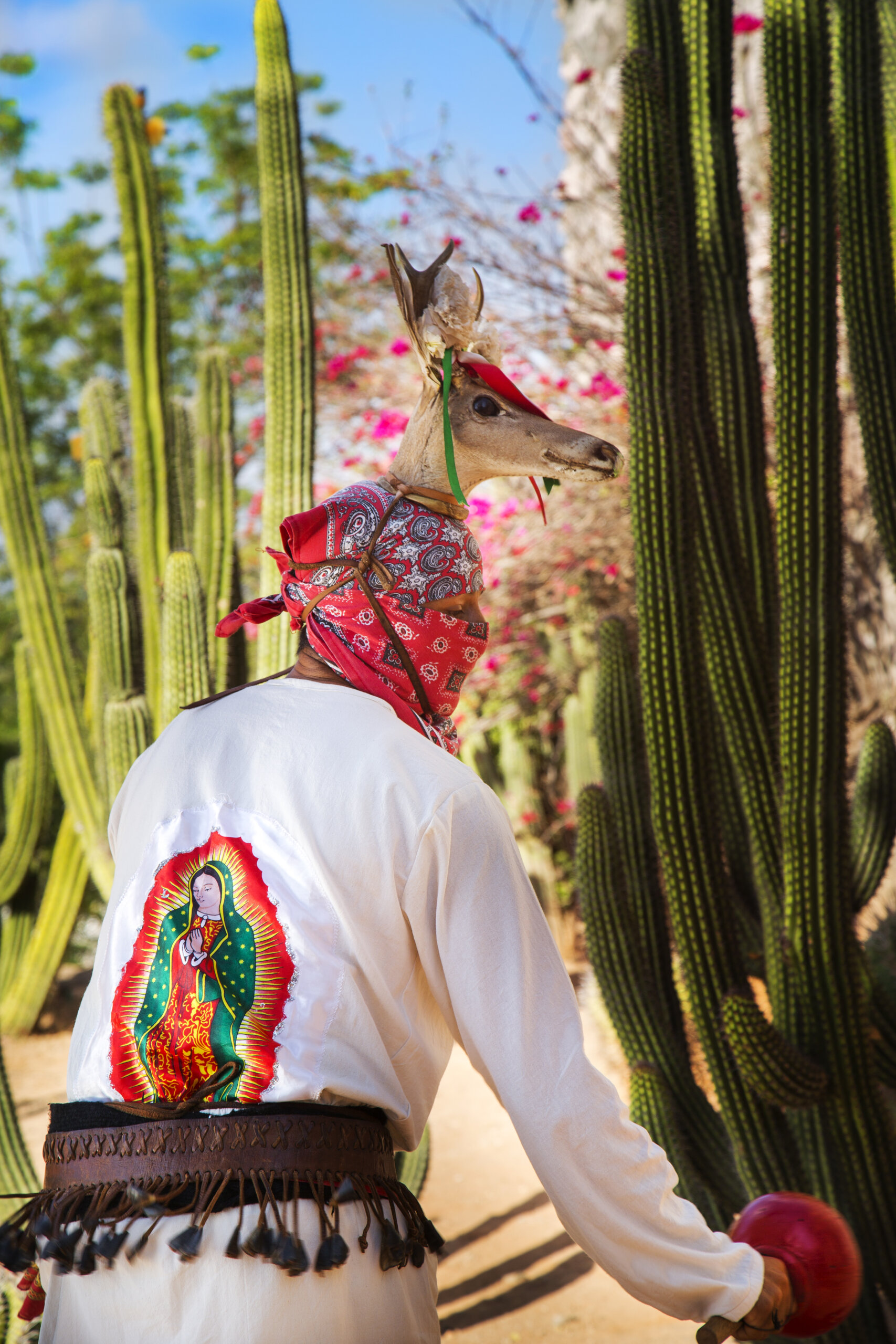 El Fuerte